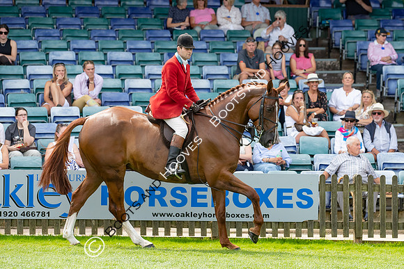 The AGRIA Royal International Horse Show
