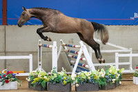 The Billy Stud Auction