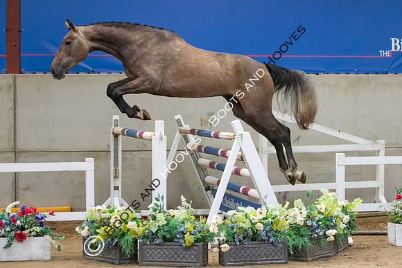 The Billy Stud Auction