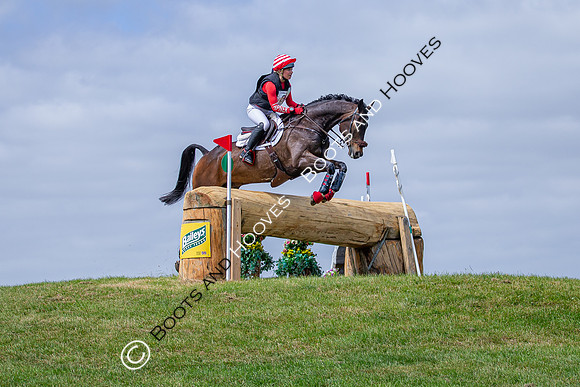 The Childeric Saddles Little Downham (1)