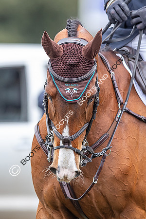 Badminton Horse Trials presented by Mars Equestrian