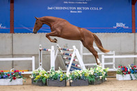 The Billy Stud Auction