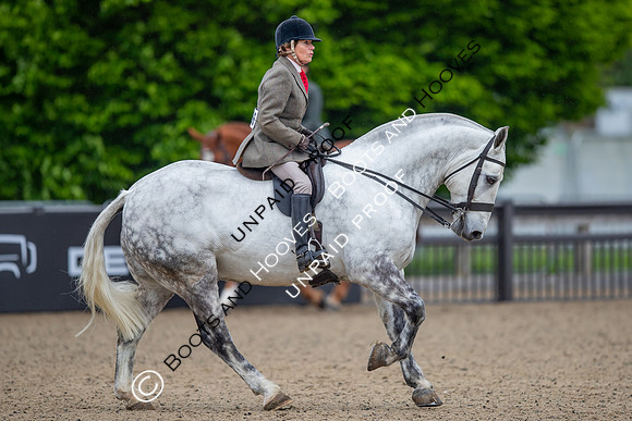 The Royal Windsor Horse Show