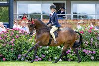 The Agria Royal International Horse Show