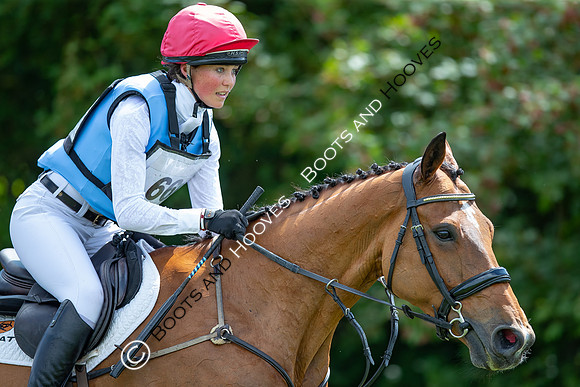 The Childeric Saddles Little Downham (1)