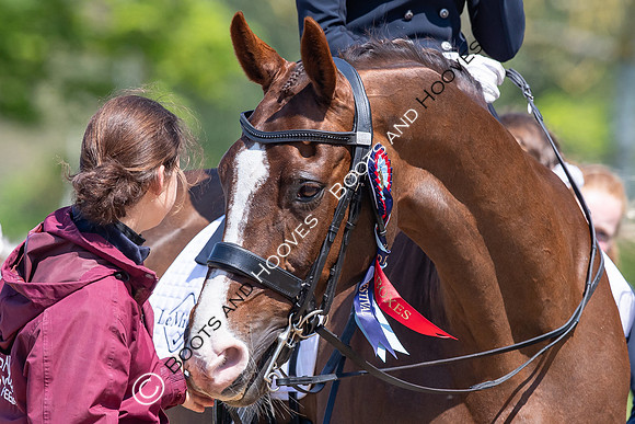 I.C.E. HORSEBOXES ALL ENGLAND DRESSAGE FESTIVAL 2023