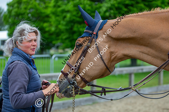 The Royal Windsor Horse Show