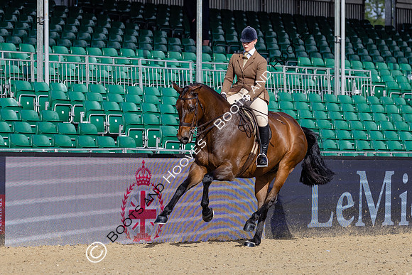 Royal Windsor Horse Show