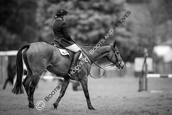 Badminton Horse Trials presented by Mars Equestrian