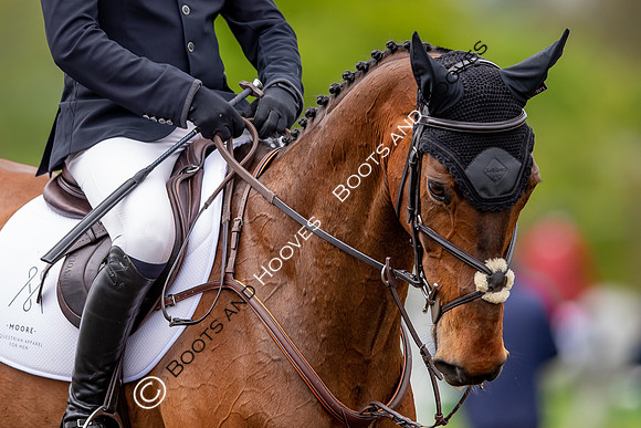 Badminton Horse Trials presented by Mars Equestrian