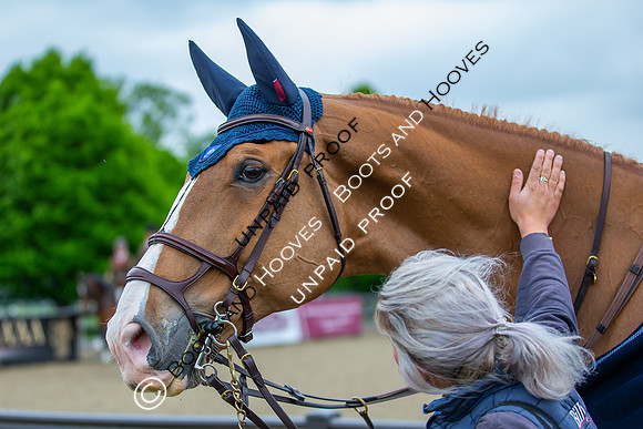 The Royal Windsor Horse Show