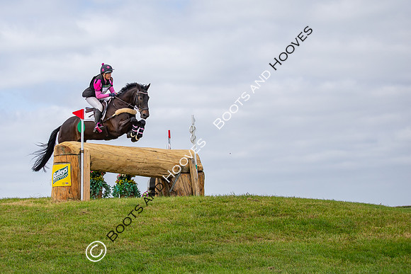 The Childeric Saddles Little Downham (1)