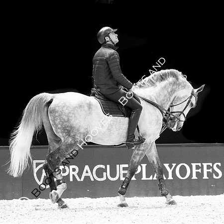 Showjumping