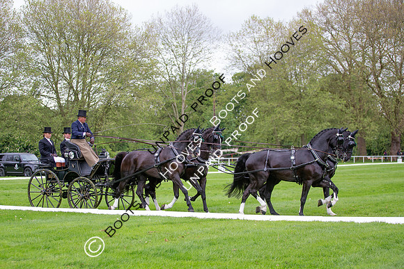 The Royal Windsor Horse Show