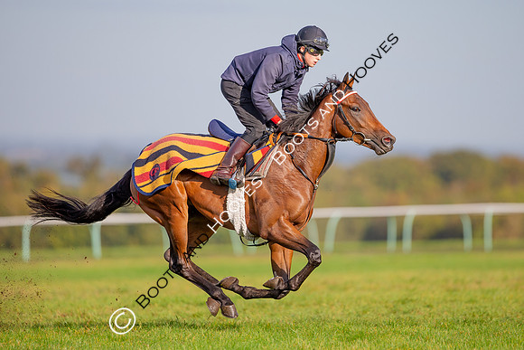 Newmarket