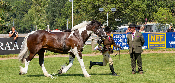 The Prenetics Royal International Horse Show