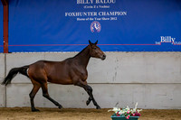 The Billy Stud Auction