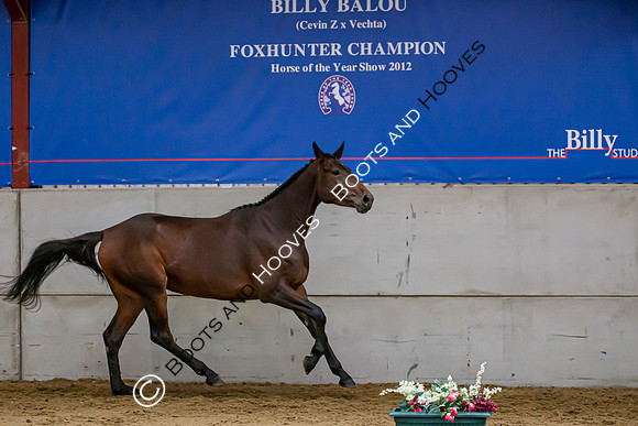 The Billy Stud Auction