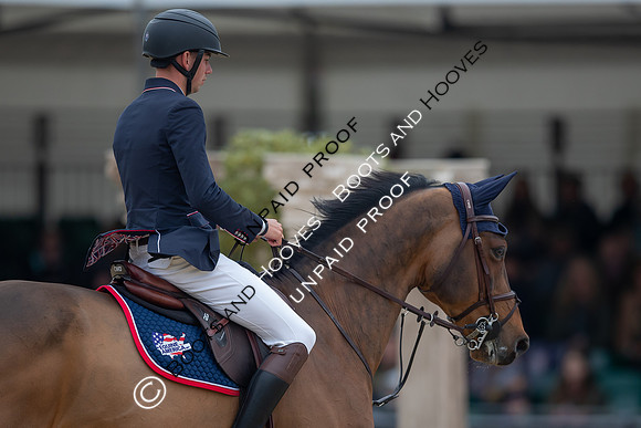 The Royal Windsor Horse Show