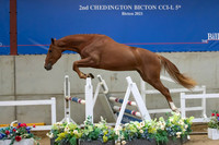 The Billy Stud Auction