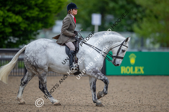 The Royal Windsor Horse Show