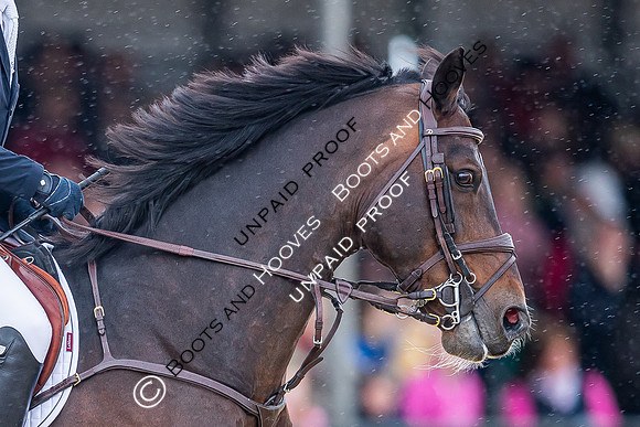 The Royal Windsor Horse Show