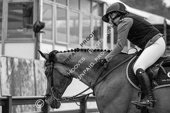 The Royal Windsor Horse Show