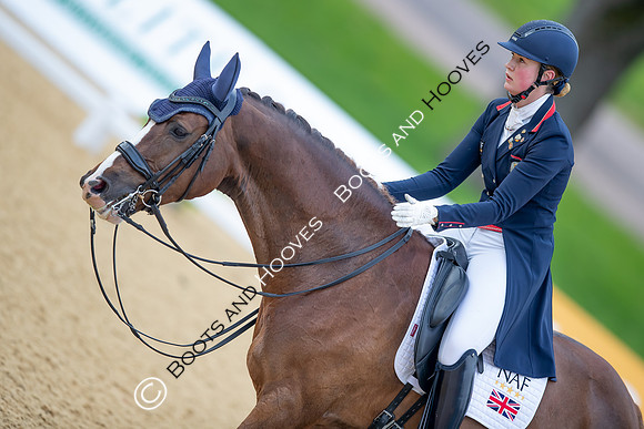 I.C.E. HORSEBOXES ALL ENGLAND DRESSAGE FESTIVAL 2023