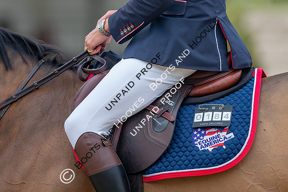 The Royal Windsor Horse Show