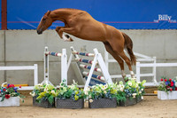 The Billy Stud Auction