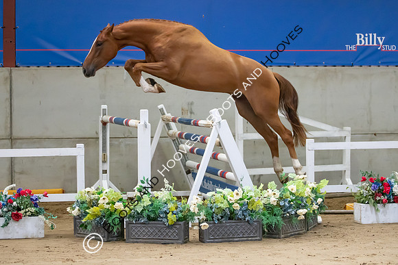 The Billy Stud Auction
