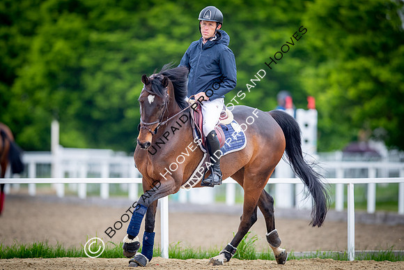The Royal Windsor Horse Show