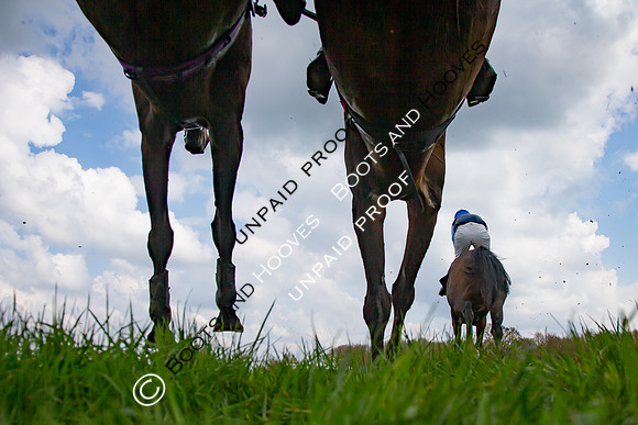 High Easter Point to Point