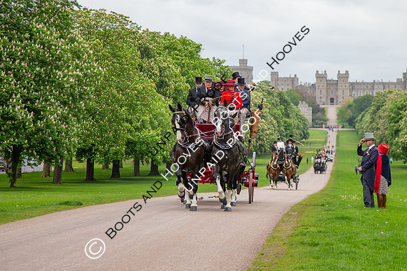 The Royal Windsor Horse Show