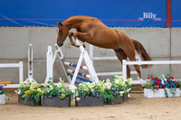 The Billy Stud Auction