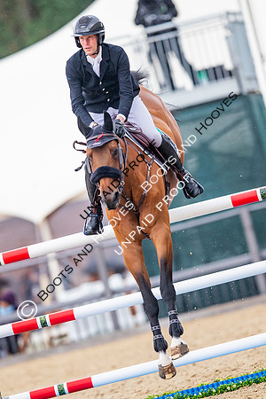 The Royal Windsor Horse Show