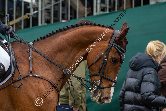 Badminton Horse Trials presented by Mars Equestrian
