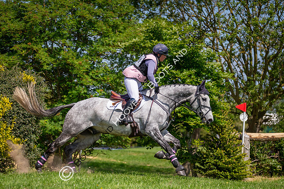 The Childeric Saddles Little Downham (1)