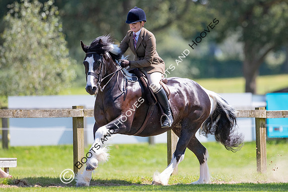 The Prenetics Royal International Horse Show