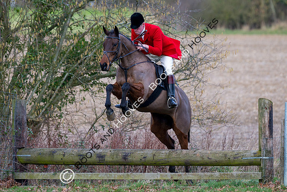 East Essex Hunt. Ladies Day. 29/01/2019 ~ MANDATORY Credit Elli Birch/Bootsandhooves - NO UNAUTHORISED USE - 07745 909676