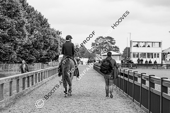 The Royal Windsor Horse Show
