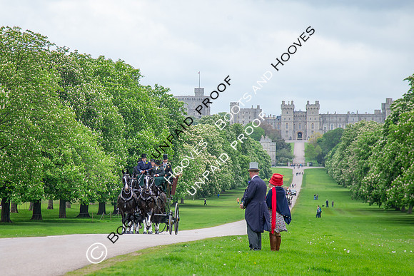 The Royal Windsor Horse Show