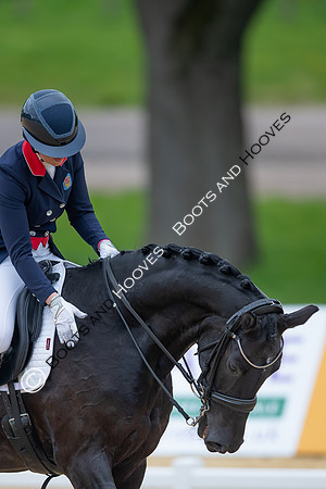 I.C.E. HORSEBOXES ALL ENGLAND DRESSAGE FESTIVAL 2023