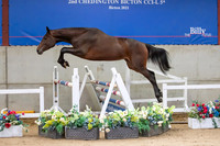 The Billy Stud Auction