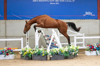 The Billy Stud Auction