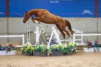 The Billy Stud Auction