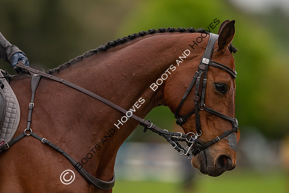 Badminton Horse Trials presented by Mars Equestrian