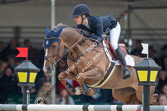 The Royal Windsor Horse Show