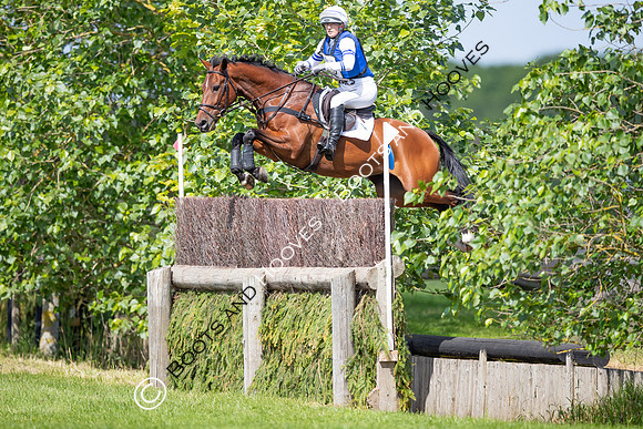 The Childeric Saddles Little Downham (1)