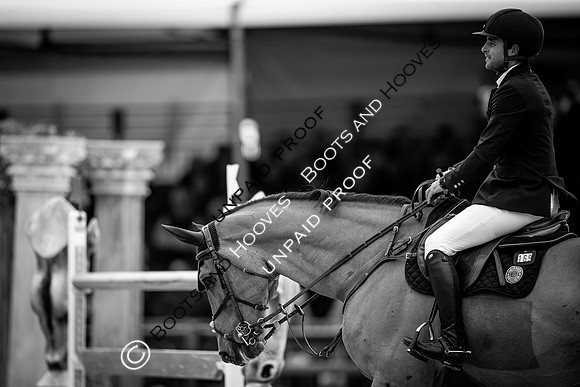 The Royal Windsor Horse Show